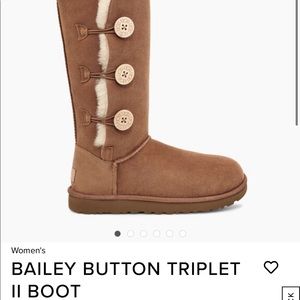 Brand new in box Uggs never worn